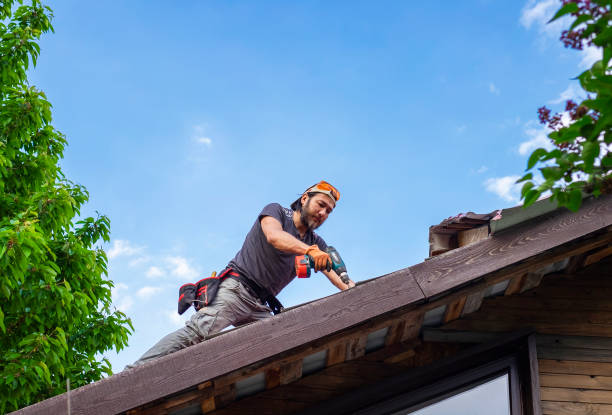 Best Roof Moss and Algae Removal  in Parowan, UT